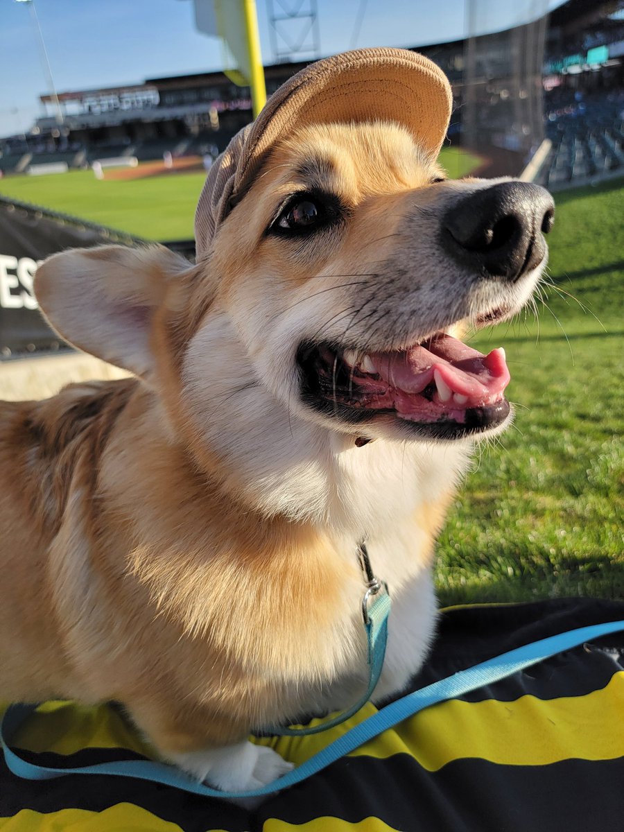 Took the bois to their first baseball game last night ⚾️ 🧢
