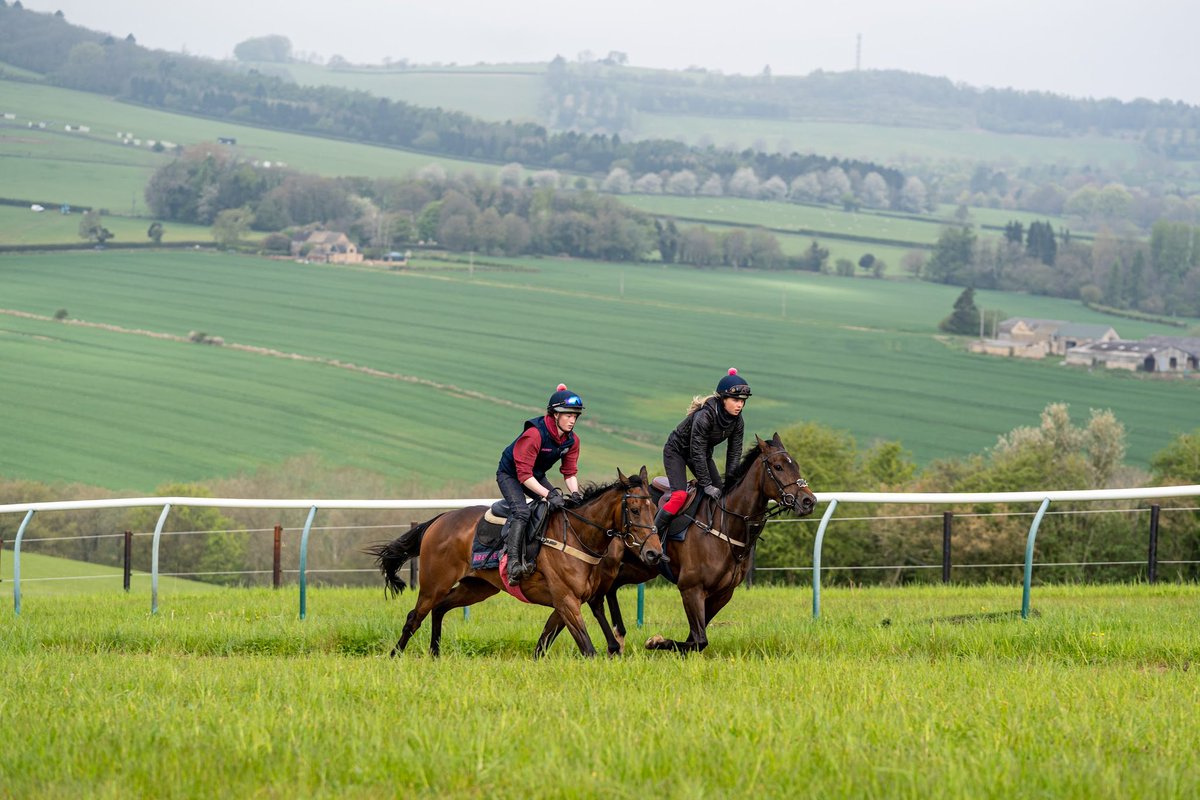 FOBRacing's tweet photo. One runner today, @fernobrien_ and Mistral Blue go in the 4.20pm @HerefordRaces https://t.co/gy9NYHsqsN
