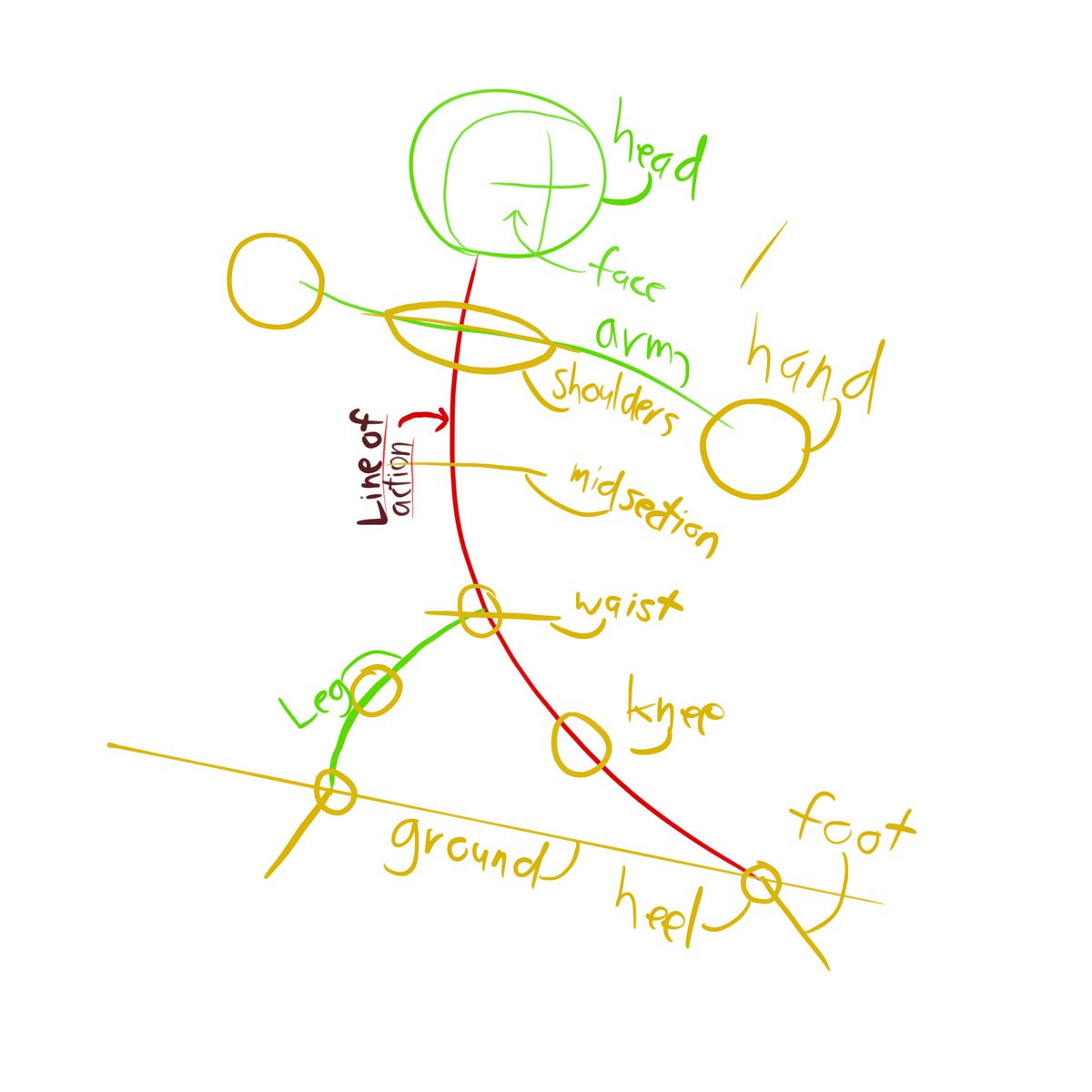 NecktieGator's tweet photo. My personal line of action setup guide
#furryartist #guide #artguide https://t.co/OzDV9s5duN