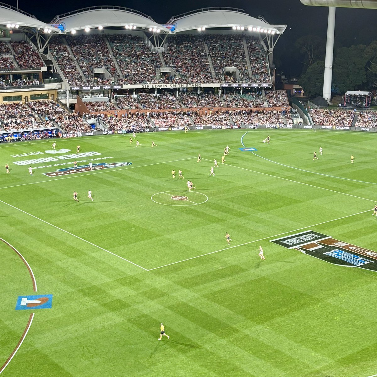 Domjack8's tweet image. New sport ✅ 

New stadium ✅ 

New team I’m supporting bottling a winnable game ✅ 

Welcome Adelaide Crows 🤝