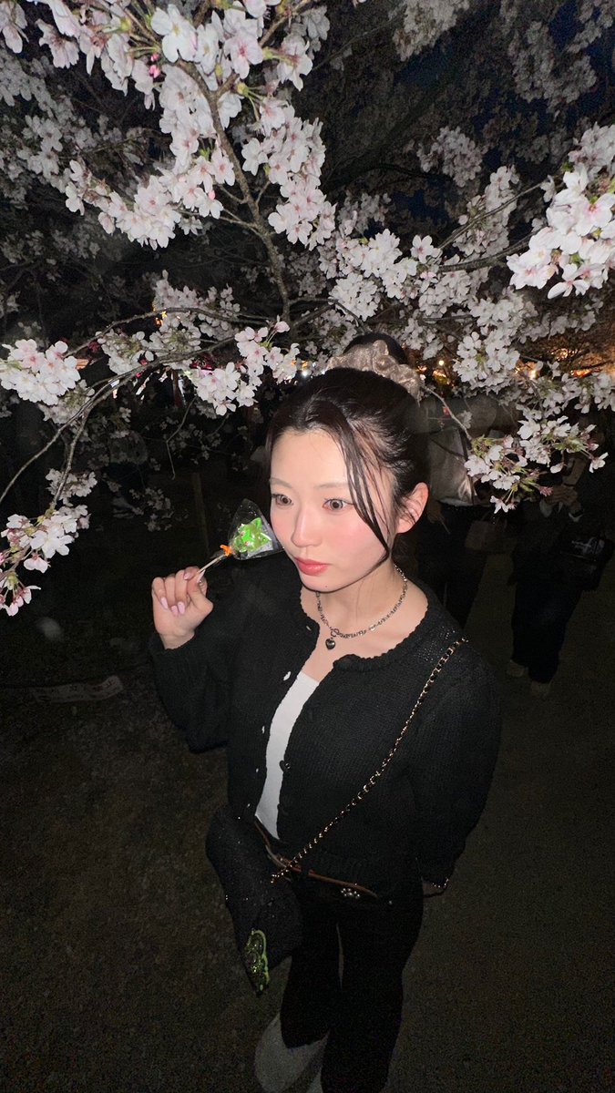 mi72810127's tweet photo. この前の休みの日に、夜桜みてきました！🌸

屋台大好きやのに、お腹いっぱいやって
飴だけgetして帰宅コース🙂‍↕️

大好きなニャオハの飴あってテンションｱｹﾞ🐱

もっとあったかくなれーーー！ https://t.co/82NVBe7P0J