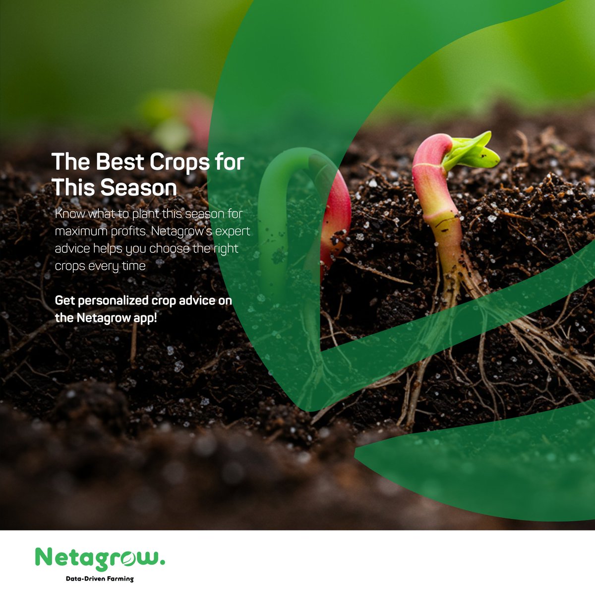 netagrowZM's tweet photo. More Yield, Less Waste!
 With Netagrow’s precision farming tools, you can increase your yield while reducing waste - it’s the smart way to farm. Start precision farming today with Netagrow! https://t.co/5sVtsFVSSS