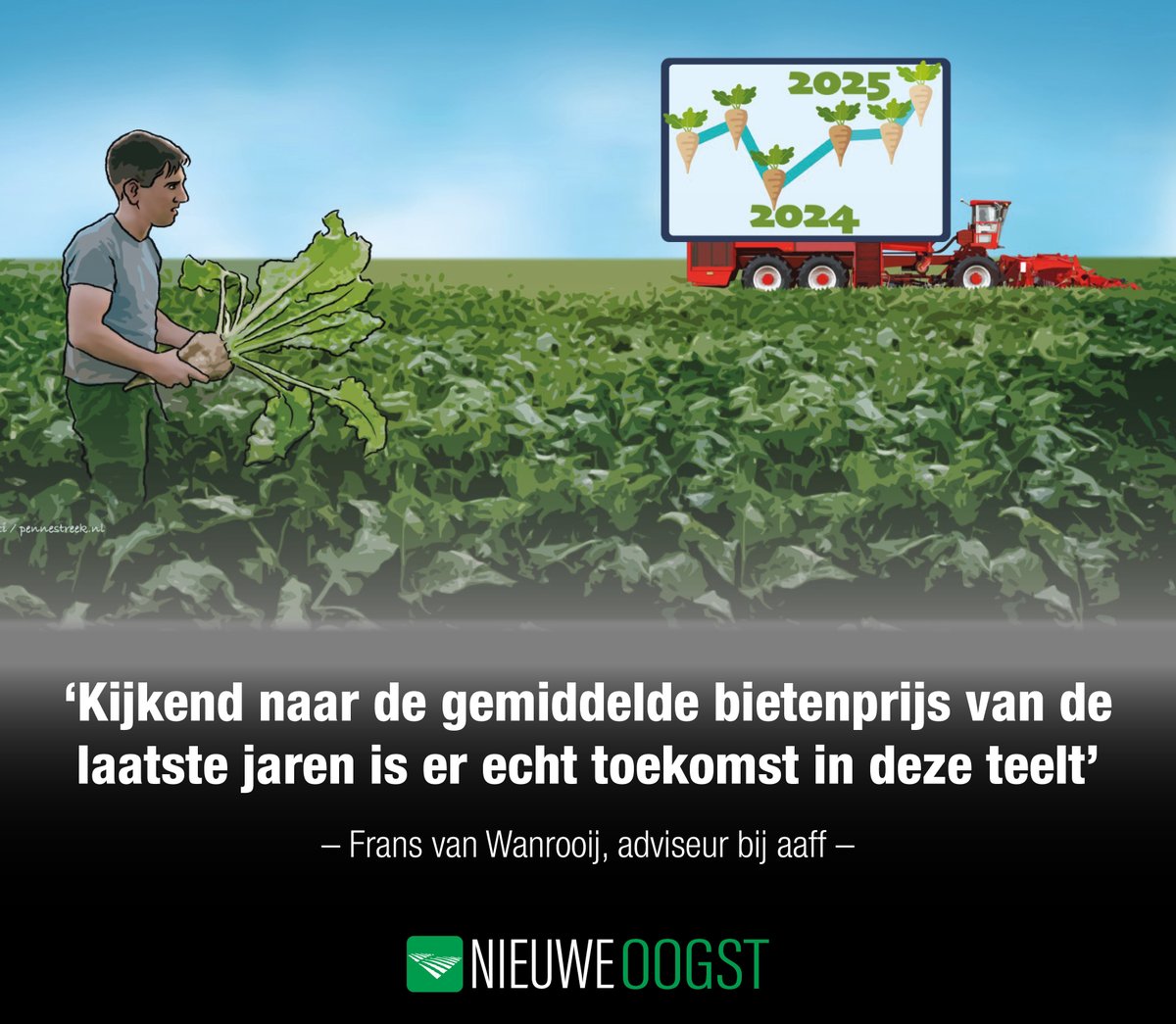 Na de flinke tegenvaller in 2024 gloort er voorzichtig hoop voor bietentelers. Door areaalkrimp in de EU en minder import uit Oekraïne verwacht <a href="/CosunBeetCo/">Cosun Beet Company</a> dat de suikerprijs zich herstelt vanaf de nieuwe #bietencampagne.

🔎Een longread: bit.ly/bietenteelt

#suikerbieten