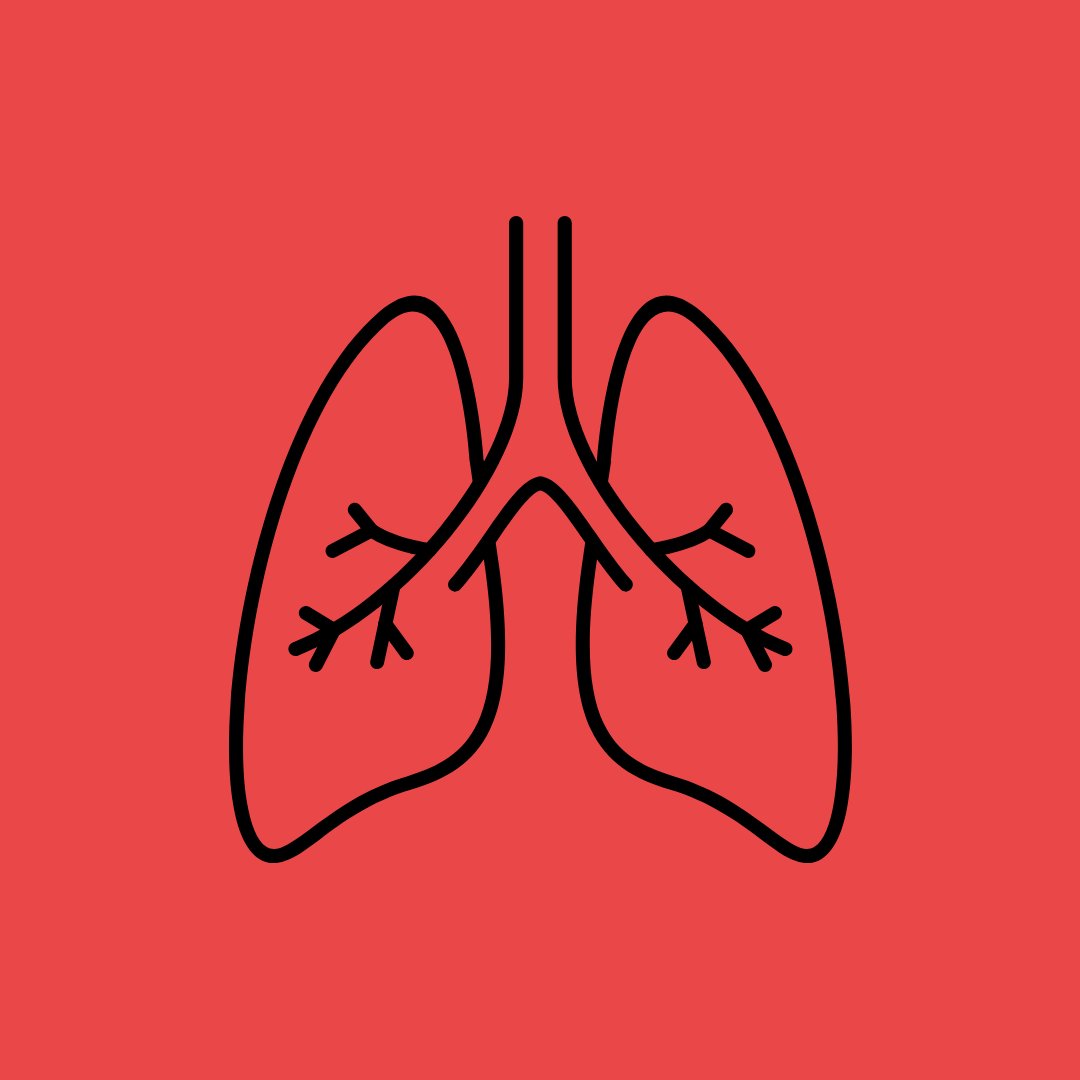 HopeSquads's tweet photo. PAUSE RIGHT NOW and follow your breath in and out, three times. Breathing in through your nose and out through your mouth. Allow your breath to settle into its own rhythm. Then as you simply follow it in and out, observe the rise and fall of your chest and belly as you breathe. Pretty simple, huh? Once you’re done, notice the subtle way it shifts how you’re feeling. A few long, calm, deep breaths can disrupt your default stress response and enable you to see your situation more objectively and respond more rationally. 

#mindfulness #hopesquad  #peertopeersupport #mentalhealth #mentalhealthawareness #suicideprevention #suicidepreventionawareness #knowthesigns #breakthestigma #saveouryouth
