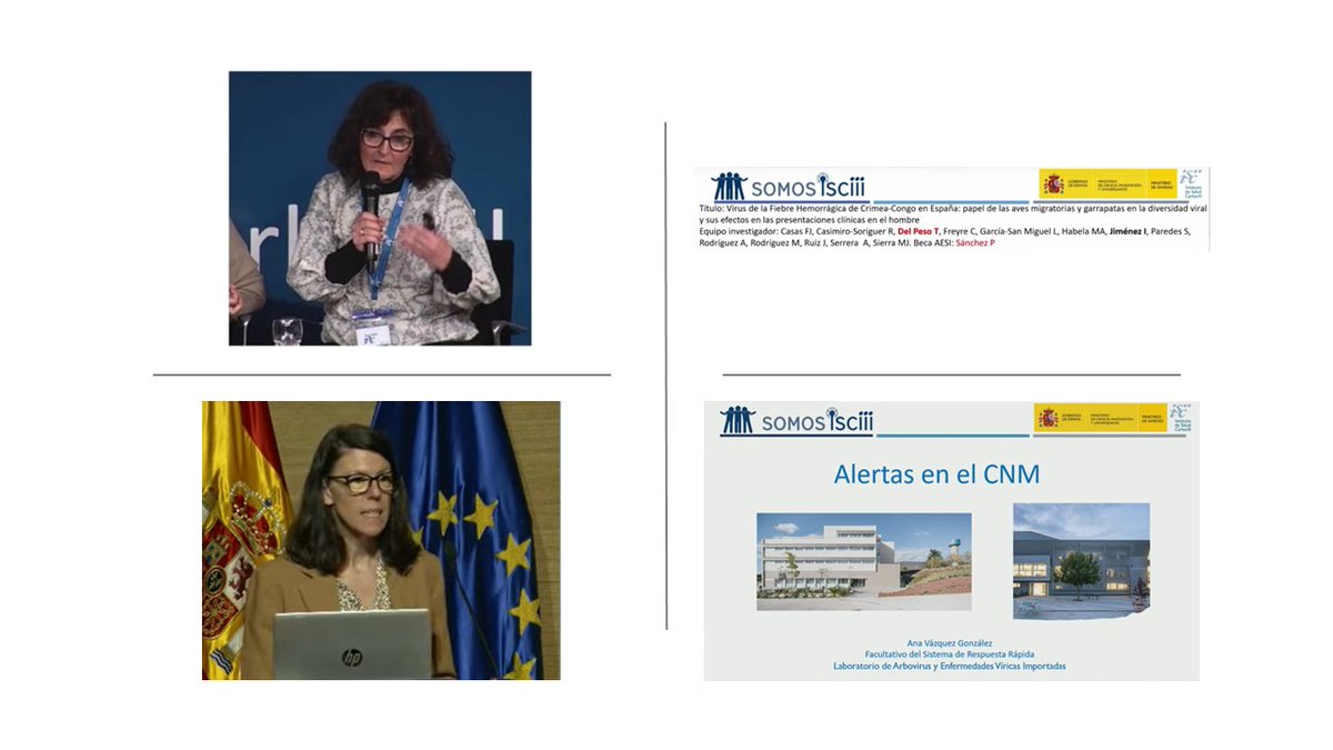 AEVI (@aevi_lab) on Twitter photo La ciencia avanza cuando se comparte🔬 #SOMOSISCIII ha permitido visibilizar el trabajo que impulsa <a href="/SaludISCIII/">Instituto de Salud Carlos III (ISCIII)</a>.
Dos de nuestras IPs compartieron su trabajo con orgullo: MªPaz habló de su proyecto de #CrimeaCongo 🕷️ y Ana del papel clave del grupo de Alertas 🚨
¡Seguimos! 💪 La ciencia avanza cuando se comparte🔬 #SOMOSISCIII ha permitido visibilizar el trabajo que impulsa <a href="/SaludISCIII/">Instituto de Salud Carlos III (ISCIII)</a>.
Dos de nuestras IPs compartieron su trabajo con orgullo: MªPaz habló de su proyecto de #CrimeaCongo 🕷️ y Ana del papel clave del grupo de Alertas 🚨
¡Seguimos! 💪