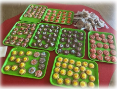 Year 5 decorated and sold biscuits as part of our Lenten appeal. All donations will go to <a href="/CAFOD/">CAFOD</a>.