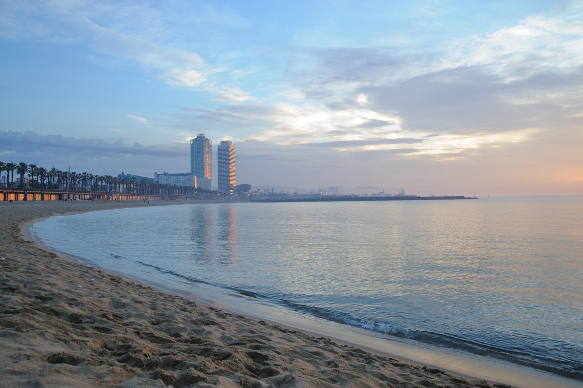 🌍  Evolve at #ESEB2025 in #Barcelona! 🧬
This August, don’t miss the chance for one of the largest gatherings in  #EvolutionaryBiology in the vibrant city of #BCN! Enjoy discussions in the amazing backdrop of the mediterranean coast!
🎟️Secure your spot 👉🏻 eseb2025.com/registration/