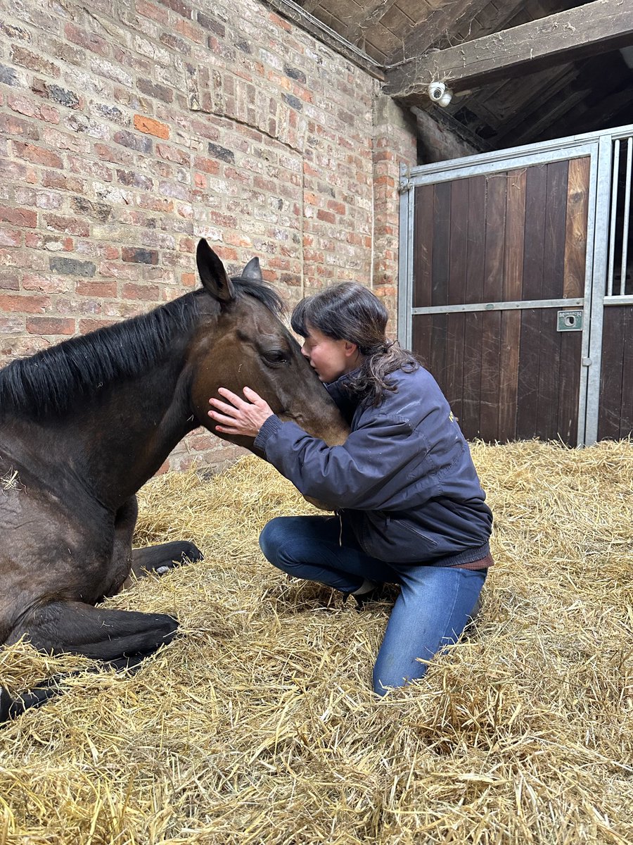 The boss’s favourite mare “Alasi”, delivered a “Capri” filly a few nights ago. Will do no wrong in the boss’s eyes we’re sure🙃 ⁦<a href="/rpbloodstock/">Racing Post Bloodstock</a>⁩ #rpfoalgallery ⁦<a href="/Willowwoodstud/">Willow Wood Farm</a>⁩