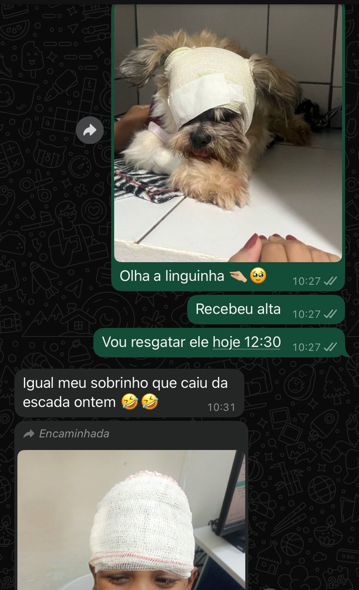 mariaeddx's tweet photo. melhor comparação KKKKKK https://t.co/5HVrHGCcSy