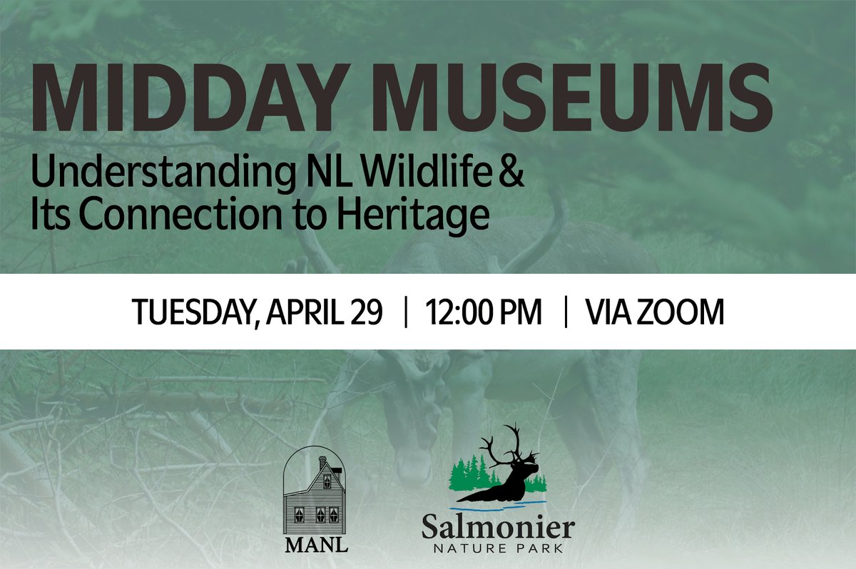 On April 29, join us for Understanding NL Wildlife &amp; Its Connection to Heritage! For more information and to register: museumsnl.ca/manl-midday-mu…