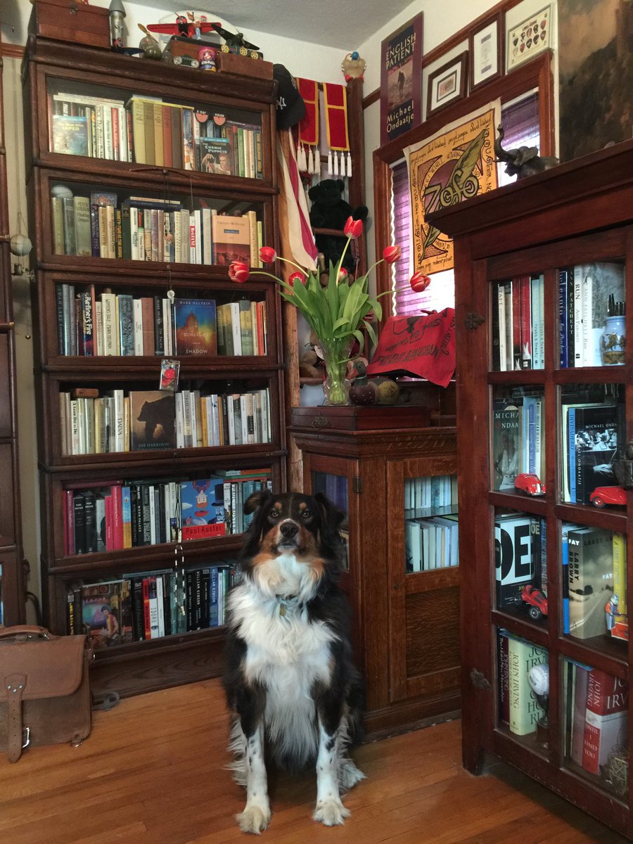 Bodhihodi's tweet image. Happy 
#NationalLibraryWeek