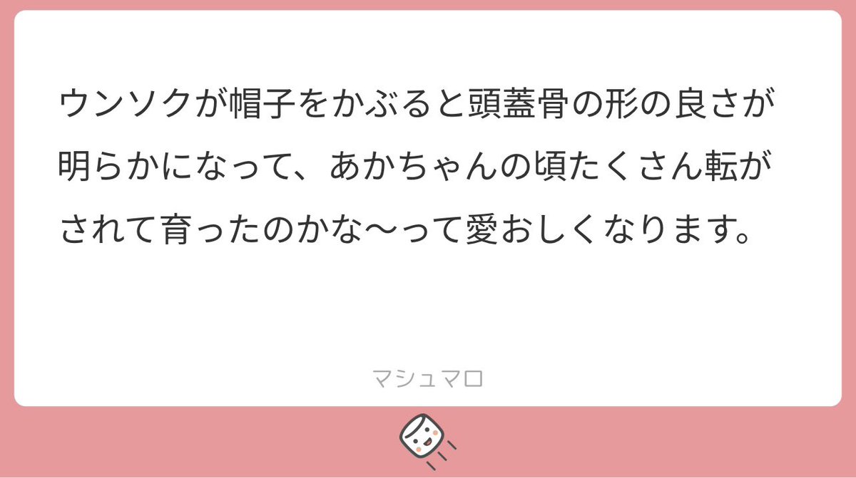 yo_say_0319's tweet photo. そりゃあソン家の長男ですもの、大切にころころ転がされてまん丸頭蓋骨形成されたにきまっています https://t.co/8K5Y4XEhwg