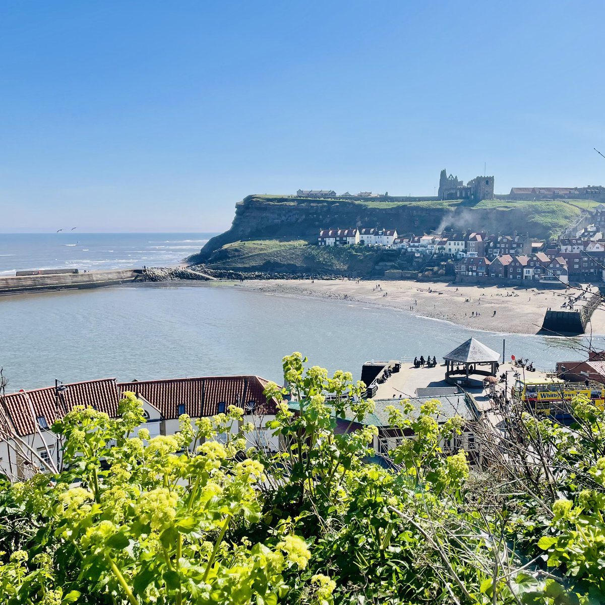 woollyvix tweet media