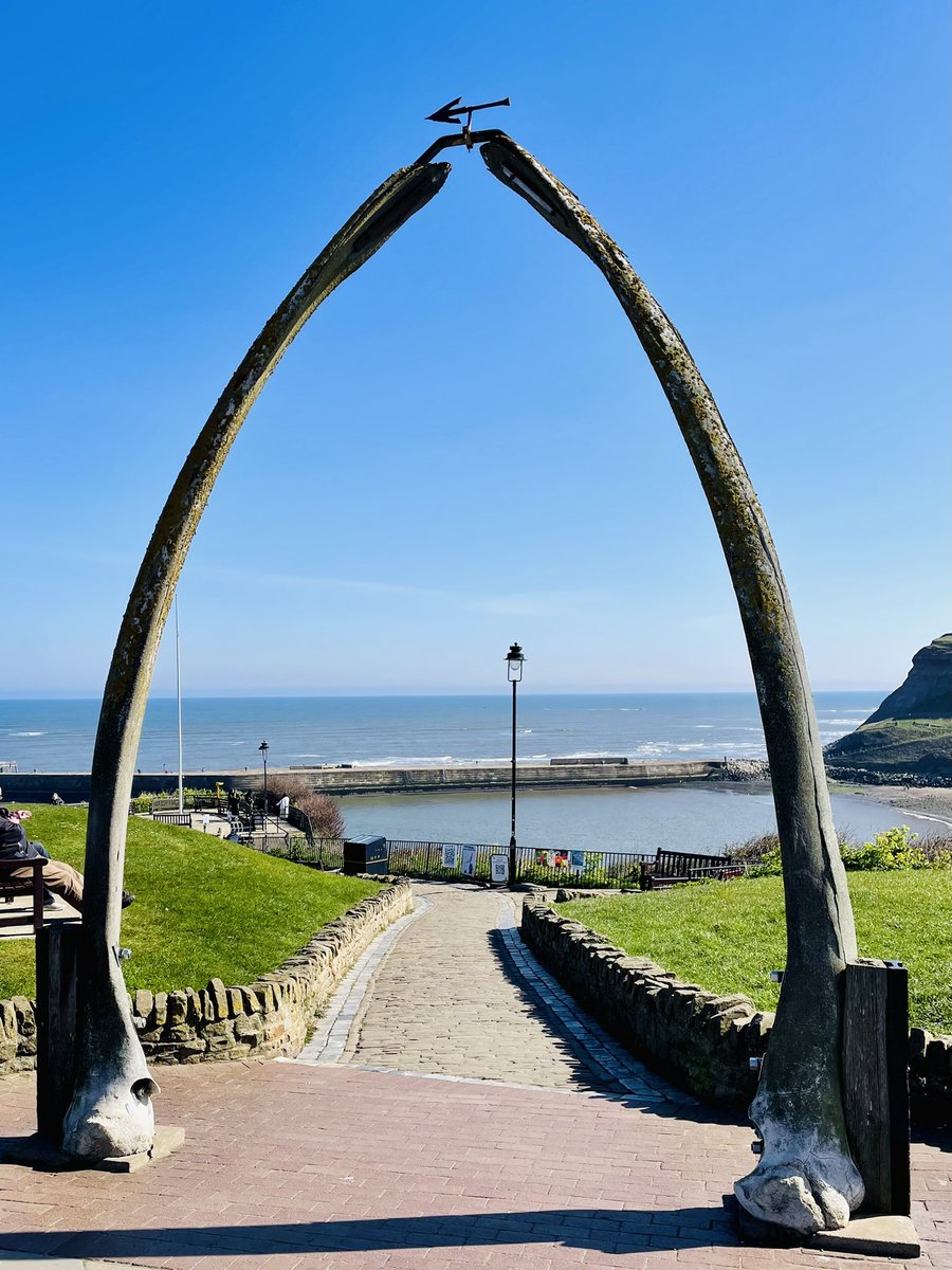 woollyvix tweet media