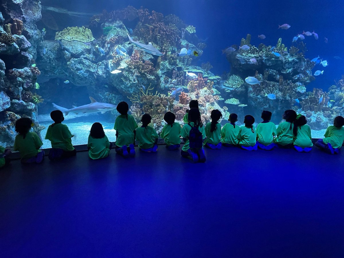 The Early Education Lab at the Reese Center tweet media