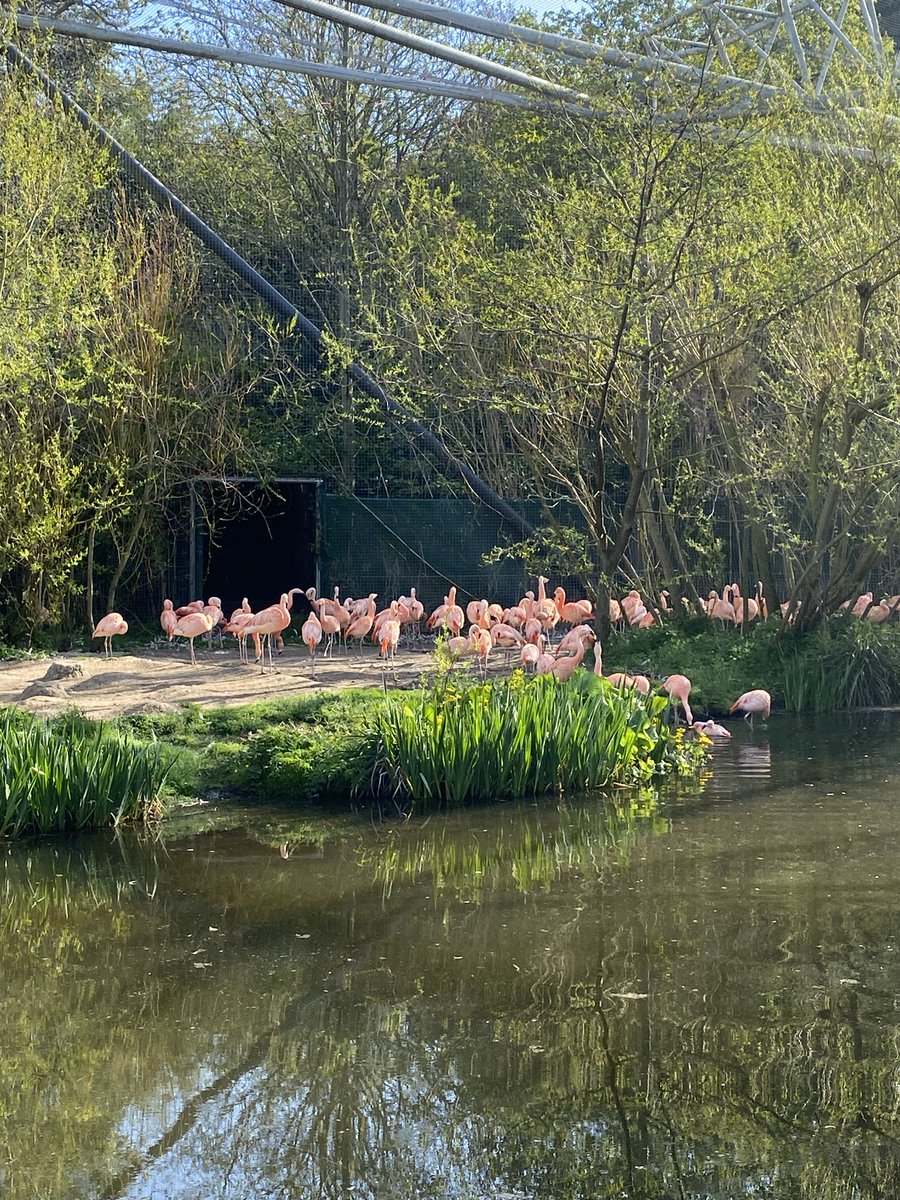 Oide Jessica tweet media