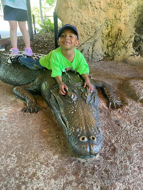 The Early Education Lab at the Reese Center tweet media