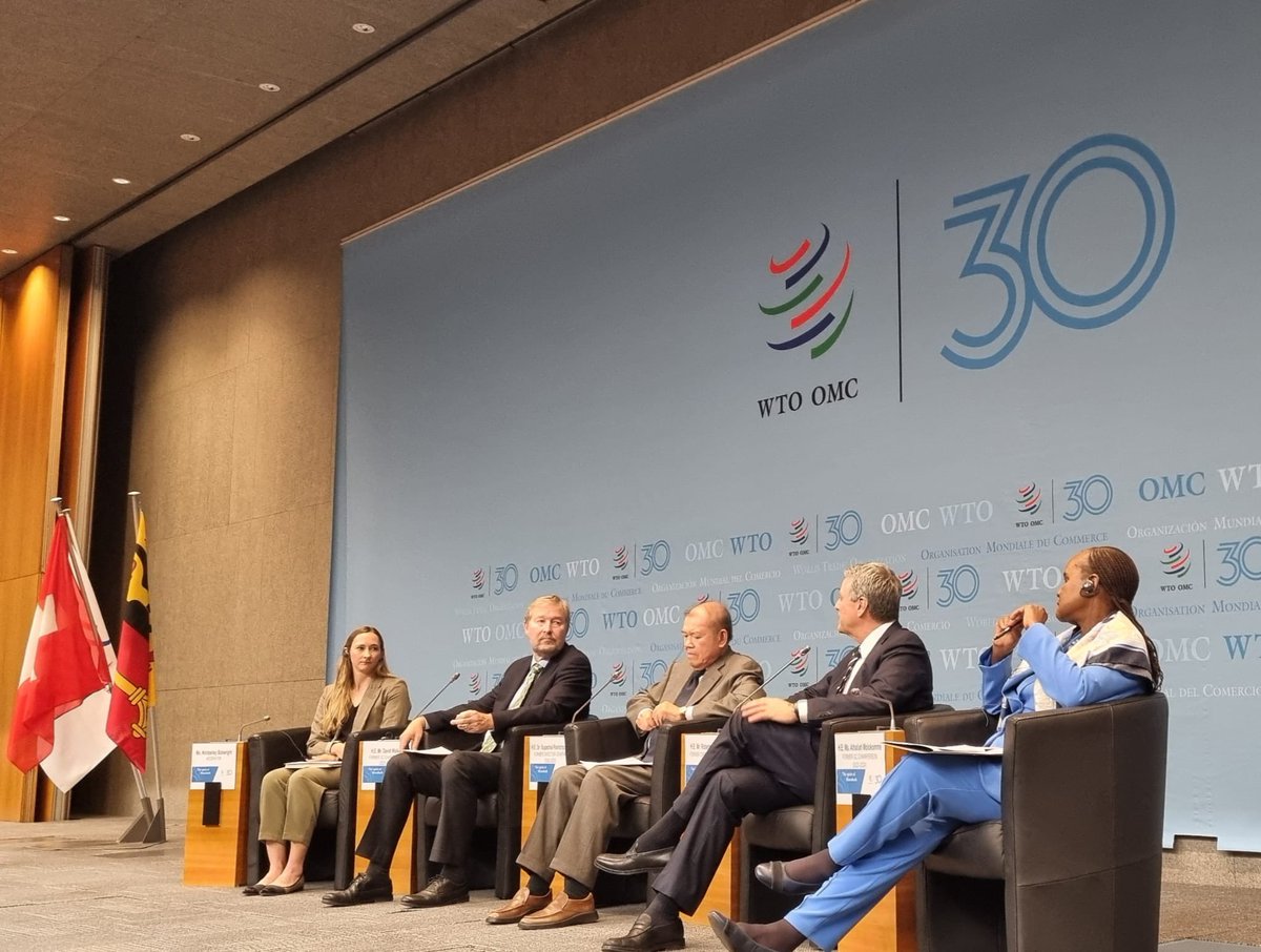 Looking back at the strengths and shortcomings of the WTO as we chart a way forward. Delighted to have our own Dr David Walker for eminent WTO@30 panel 👏🏼 <a href="/wto/">WTO</a> #wto@30 <a href="/MFATNZ/">New Zealand Ministry of Foreign Affairs & Trade</a>
