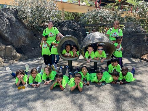 The Early Education Lab at the Reese Center tweet media