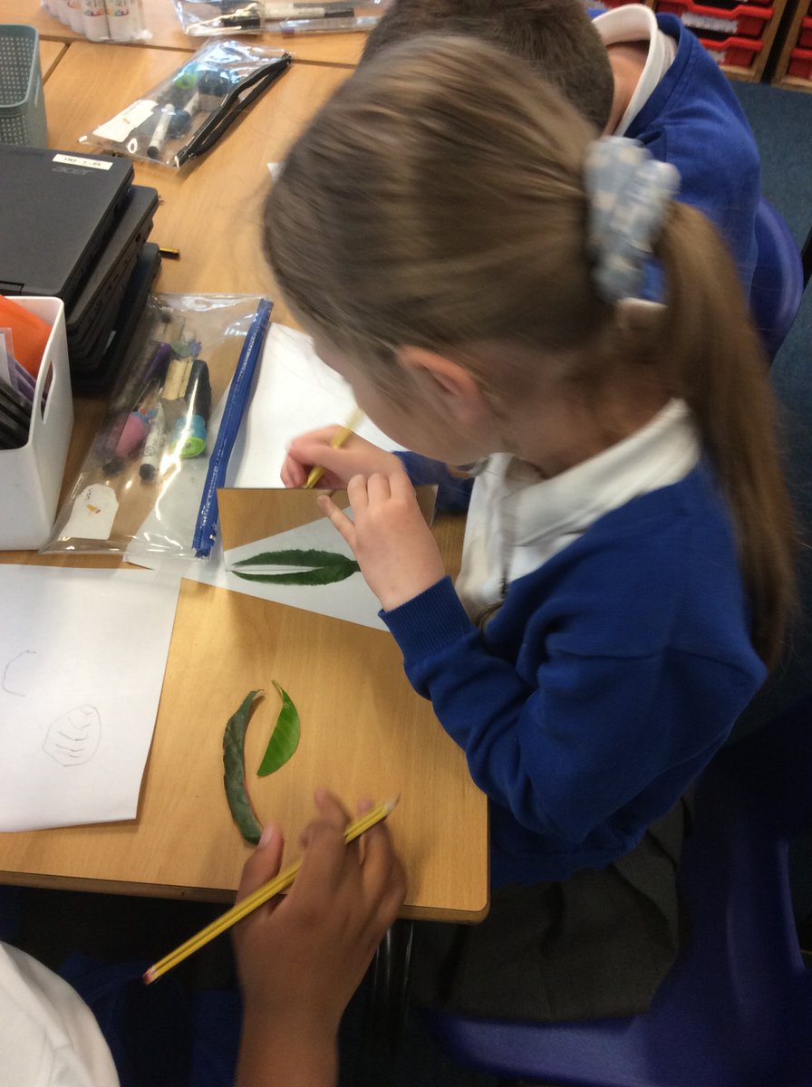 Today Year 2 started learning about lines of symmetry! We had a lesson exploring how to find and spot lines of symmetry and we rotated around 3 activities; folding on shapes, mirroring leaves and painting minibeasts, folding to find the lines of symmetry! 🦋
