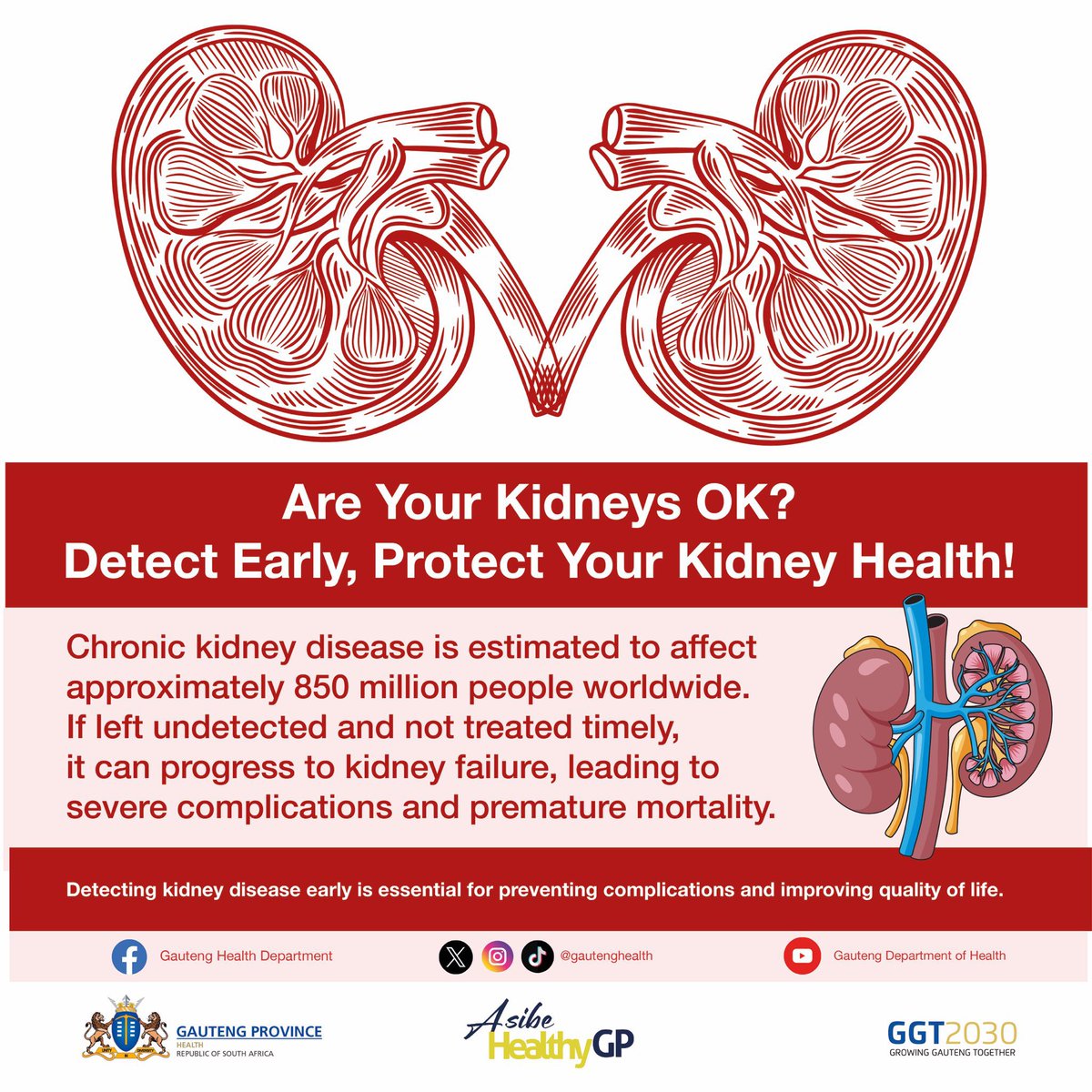 Detecting kidney disease early is essential for preventing complications and improving quality of life. #AreYourKidneysOK  #AsibeHealthyGP