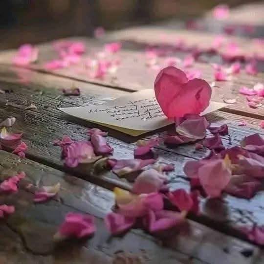 لا تترك أي شيء في قلبك ضـد أحد
سـامح وأغفر وتجاهل وأحسن الظن 
فـ الحياة لحظات تســـتحق أن تعيشـــها براحة              
مجرد إبتسامة وقلب نظيف ونفس ســموحة 
أعمارنا قصيرة ولقائاتنا أقصر وفي قبورنا 
نحتاج من يدعي لنا لا علينا،
فـ لا تسـرق فرحــة أحد ولا تقهر قلب أحد