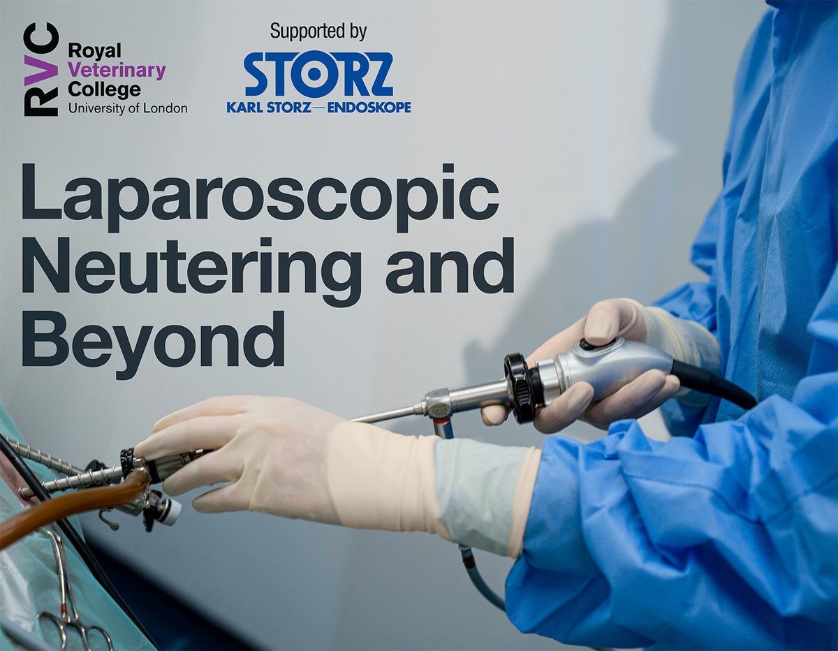 KARL STORZ - UK (@karlstorzuk) on Twitter photo The Laparoscopic Neutering and Beyond Course, hosted by <a href="/RoyalVetCollege/">Royal Veterinary College (RVC)</a>, is a unique opportunity in small animal veterinary surgery, designed to launch your laparoscopic career! Overseen by tutors Rosanne Jepson, Karla Lee, Carolina Palacios Jimenez, and Matteo Rossanese, course The Laparoscopic Neutering and Beyond Course, hosted by <a href="/RoyalVetCollege/">Royal Veterinary College (RVC)</a>, is a unique opportunity in small animal veterinary surgery, designed to launch your laparoscopic career! Overseen by tutors Rosanne Jepson, Karla Lee, Carolina Palacios Jimenez, and Matteo Rossanese, course