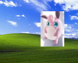 I am a photographer, I took this photo outside my house today