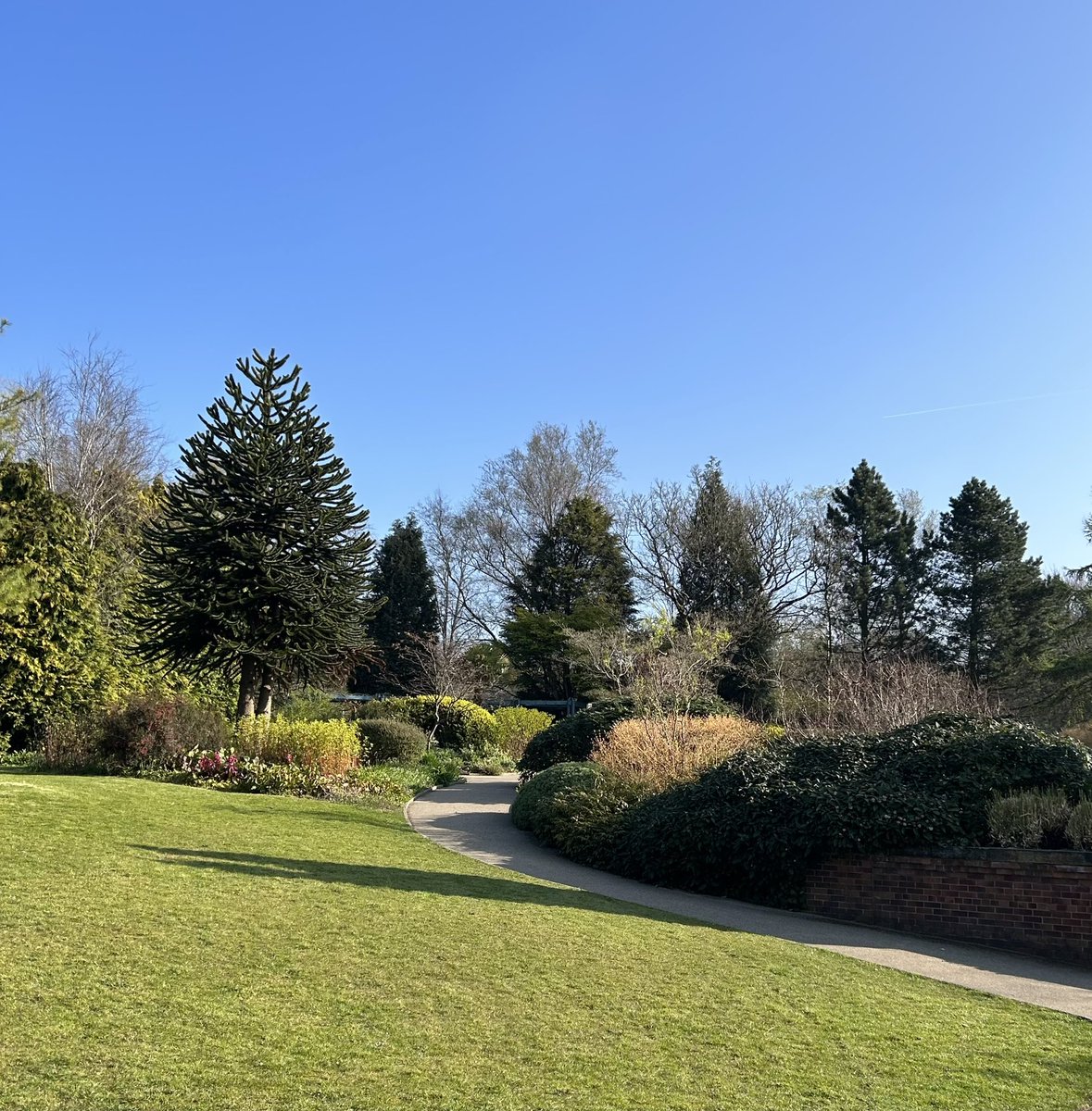 NickNatkinson's tweet photo. Tree planting with L2 Apprentices today in the beautiful Alexandra Park @OldhamCollege @OldhamCouncil @LantraUK https://t.co/JvBpjAjoDW