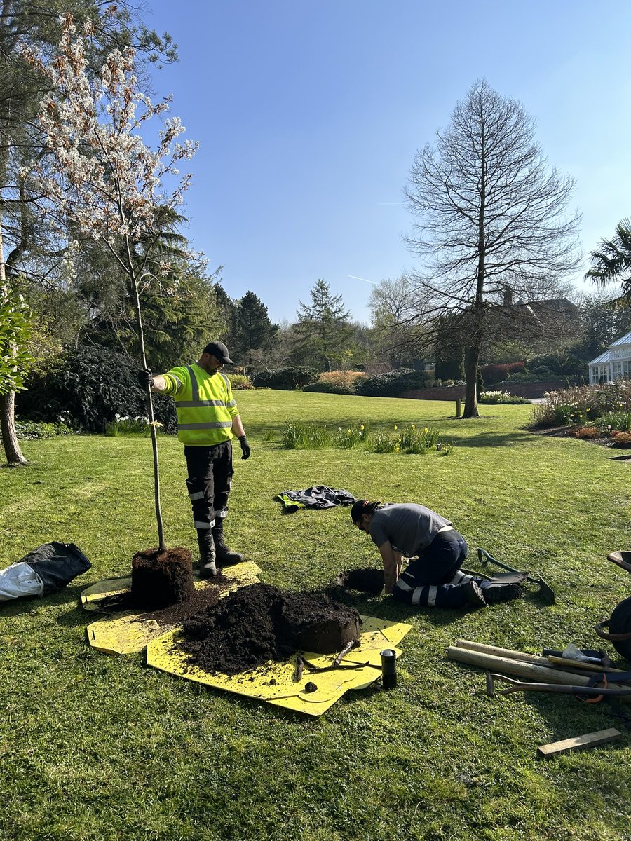 NickNatkinson's tweet photo. Tree planting with L2 Apprentices today in the beautiful Alexandra Park @OldhamCollege @OldhamCouncil @LantraUK https://t.co/JvBpjAjoDW
