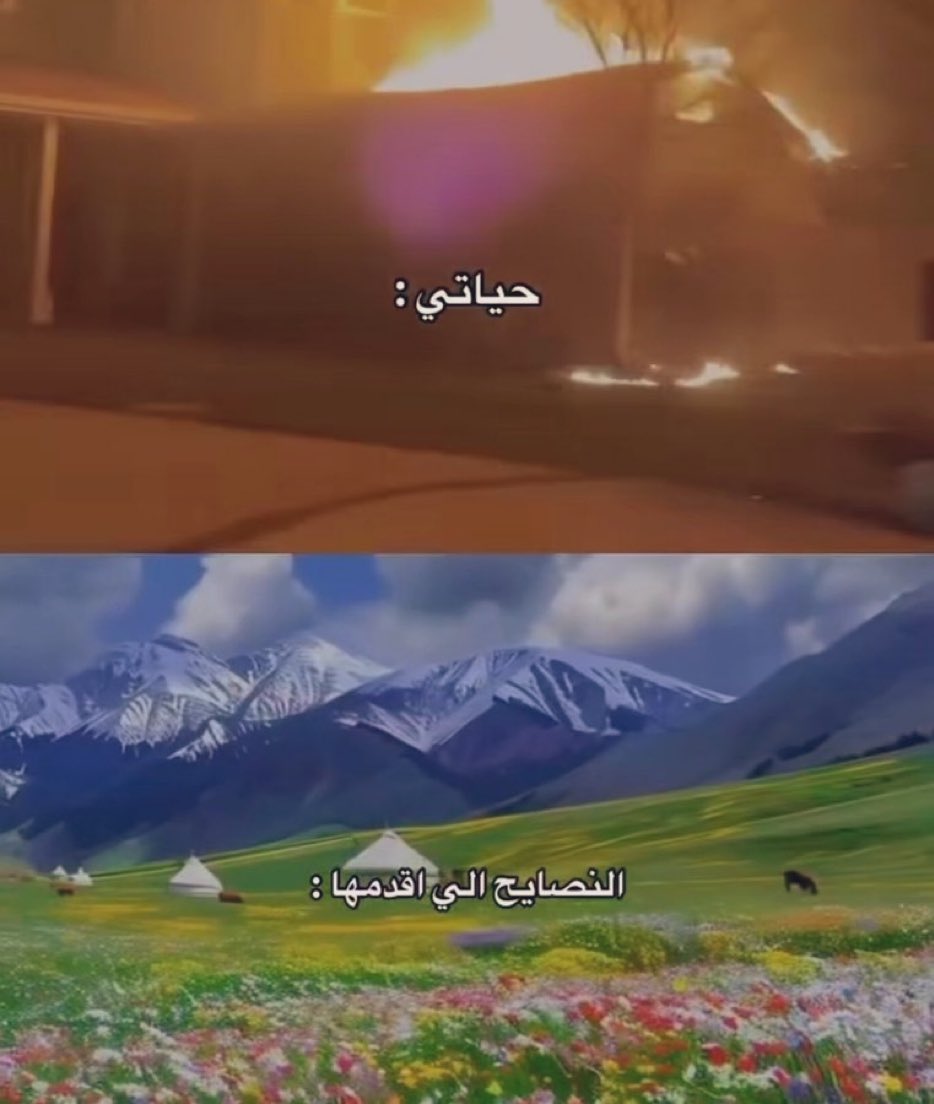 Egyptianmemees's tweet image. حرفياً