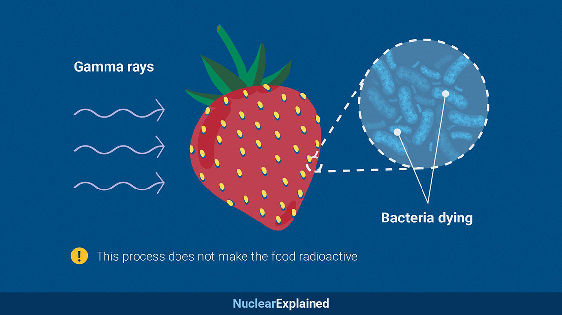 IAEANA's tweet image. 🚀 At #ICARST2025, we explore cutting-edge #NuclearTech like #FoodIrradiation—keeping food fresh &amp;amp; safe without chemicals!  📷 From extending shelf life to enabling global trade, this technique boosts #FoodSecurity &amp;amp; reduces waste. Discover its impact 🔗tinyurl.com/yc36huz7