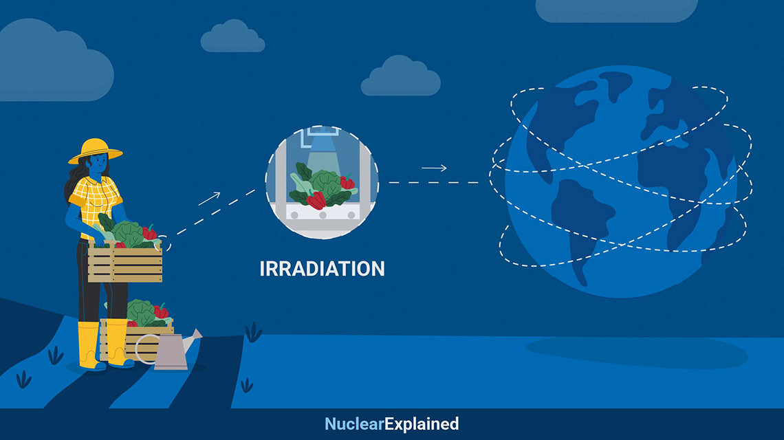 IAEANA's tweet image. 🚀 At #ICARST2025, we explore cutting-edge #NuclearTech like #FoodIrradiation—keeping food fresh &amp;amp; safe without chemicals!  📷 From extending shelf life to enabling global trade, this technique boosts #FoodSecurity &amp;amp; reduces waste. Discover its impact 🔗tinyurl.com/yc36huz7