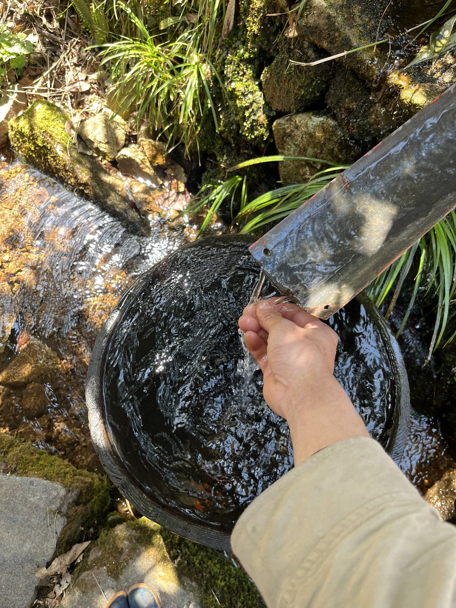 県北の現場にはいった。昼寝の風景の絵を1枚。軒には麻ガラが使われていて久しぶりに触った。煤けて手も顔もまっくろに。名残雪が昨日なくなった。