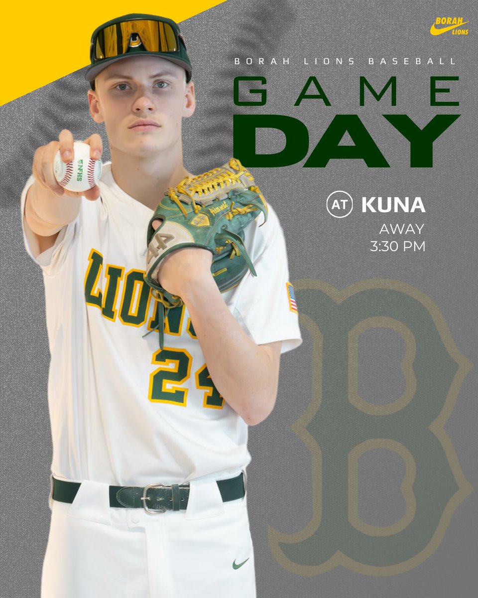 Borah Baseball tweet media