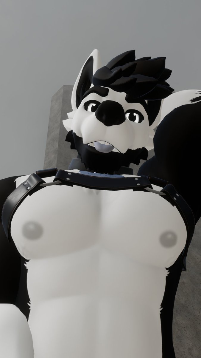 heyo, did you lose something lil guy?
#furry #furrynsfw #VRChat