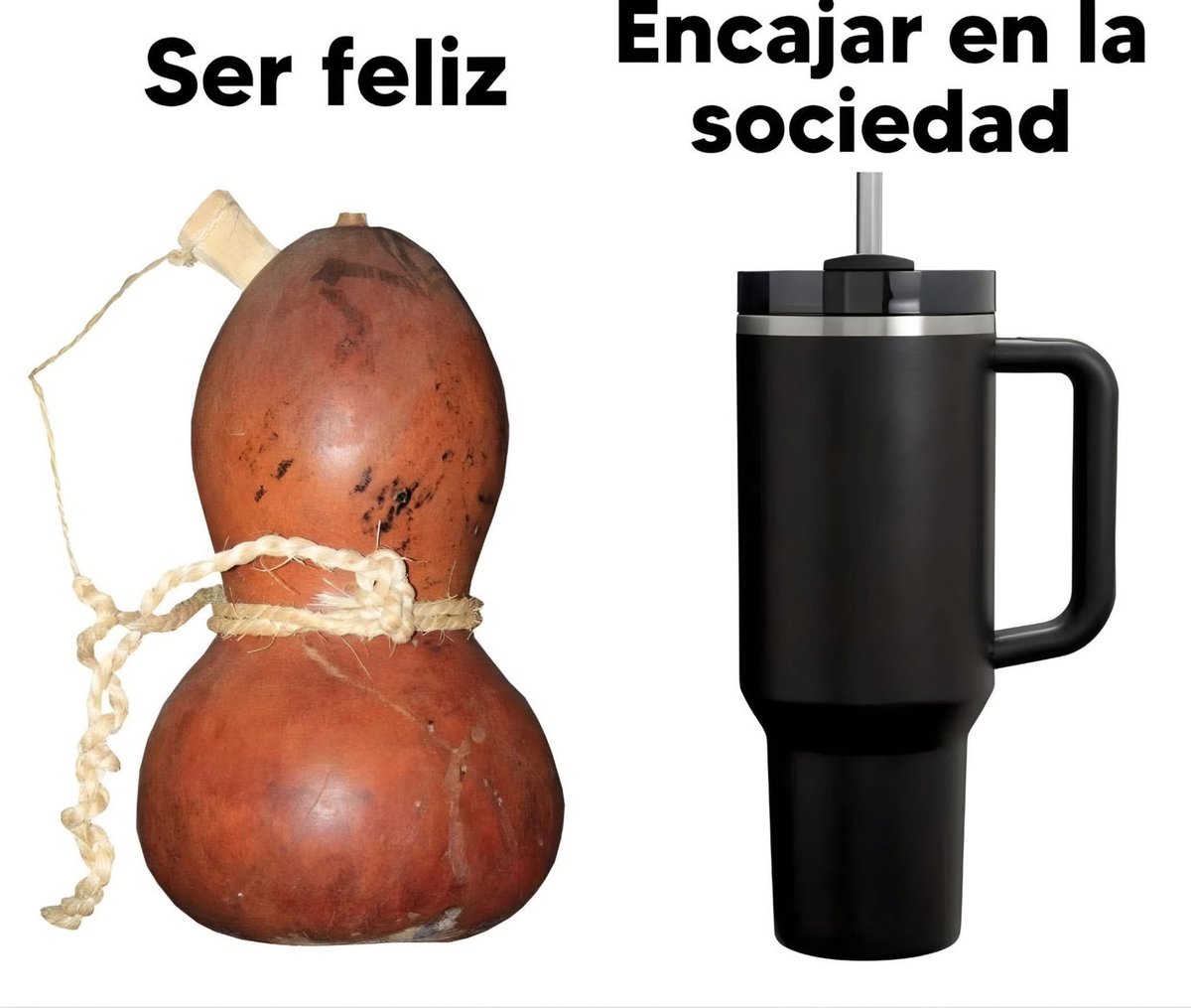 Enséñame de Ciencia (@ensedeciencia) on Twitter photo 