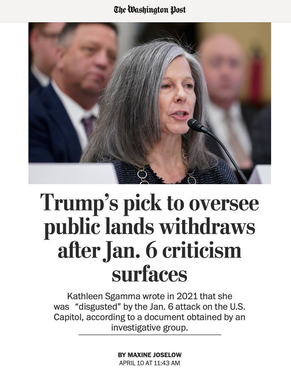 Nick Surgey tweet media