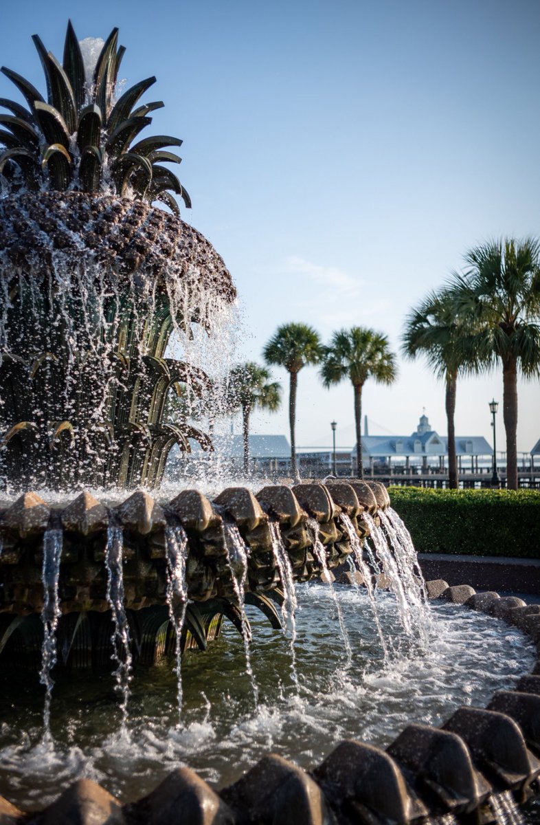 A perfect afternoon to kick off the ELULS Long Range Planning Retreat in Charleston, SC ⛵️ #ELULS