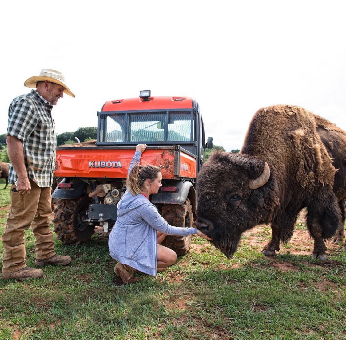 carolinabison's tweet photo. Throwback Thursday to our photoshoot with Carhartt 🤎🦬 @Carhartt #carolinabison #carolinabisonfarm #drkingsfarms #bison #buffalo #farm #regenerativefarming #healthymeat #healthydiet #healthyprotein #redmeat #carhartt https://t.co/GLmhtnB1oU