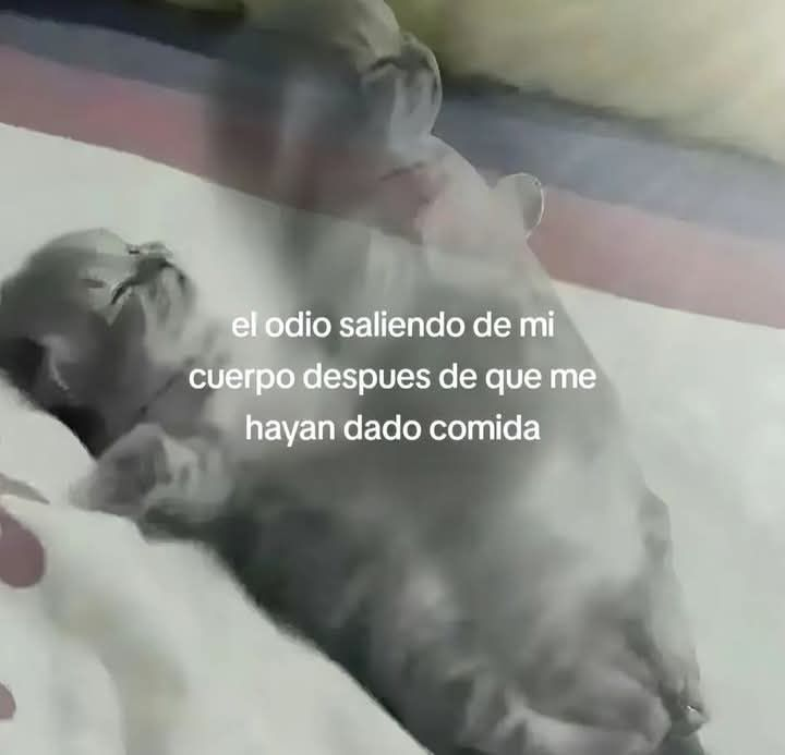 Bandidosfrasess's tweet photo. https://t.co/ygxkGDYOU3