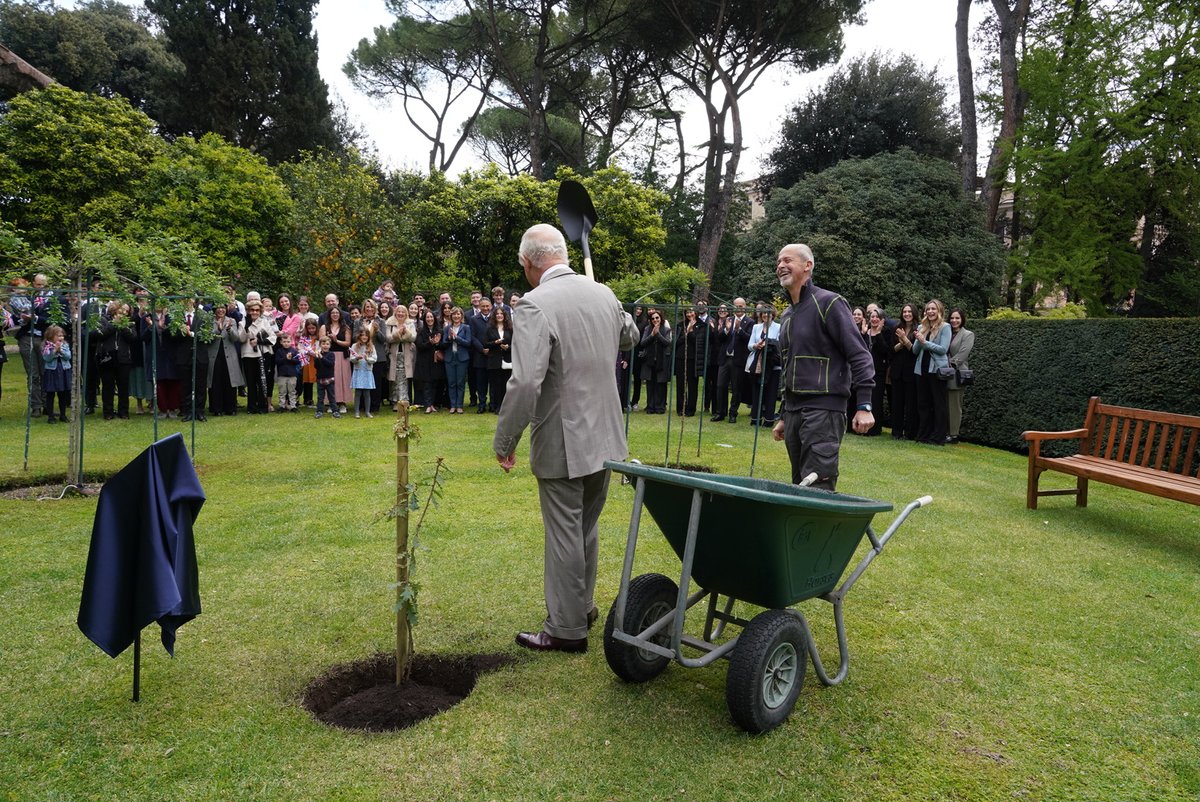 Sabrina Alfonsi tweet media