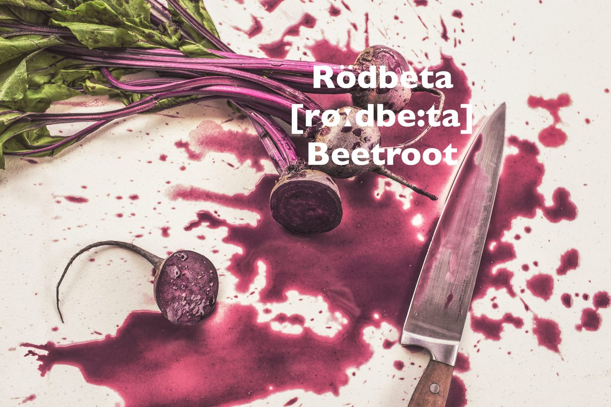 SpeakSwedish's tweet photo. #Swedish veggie of the day: #Rödbeta (#Beetroot) is a compounded word made of röd (red) and beta (beet), thus meaning "red beet". #swod https://t.co/XHi5FUNDMO