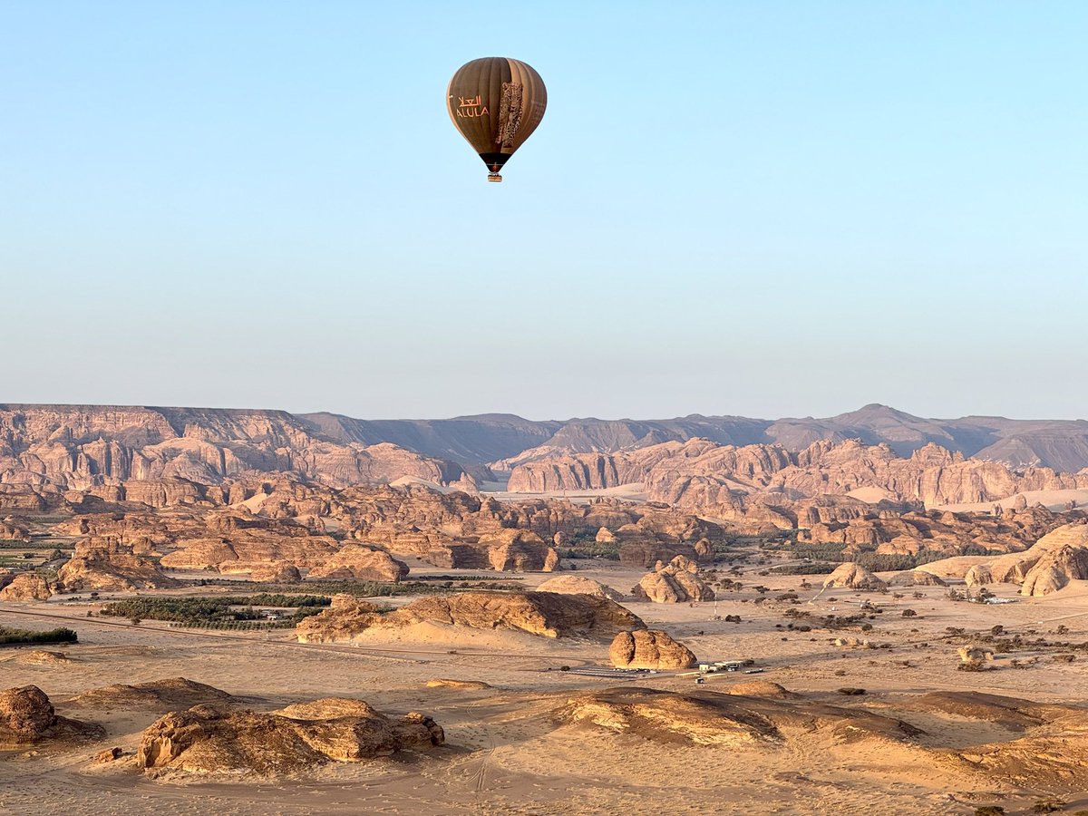Halleluya Ekandjo tweet media