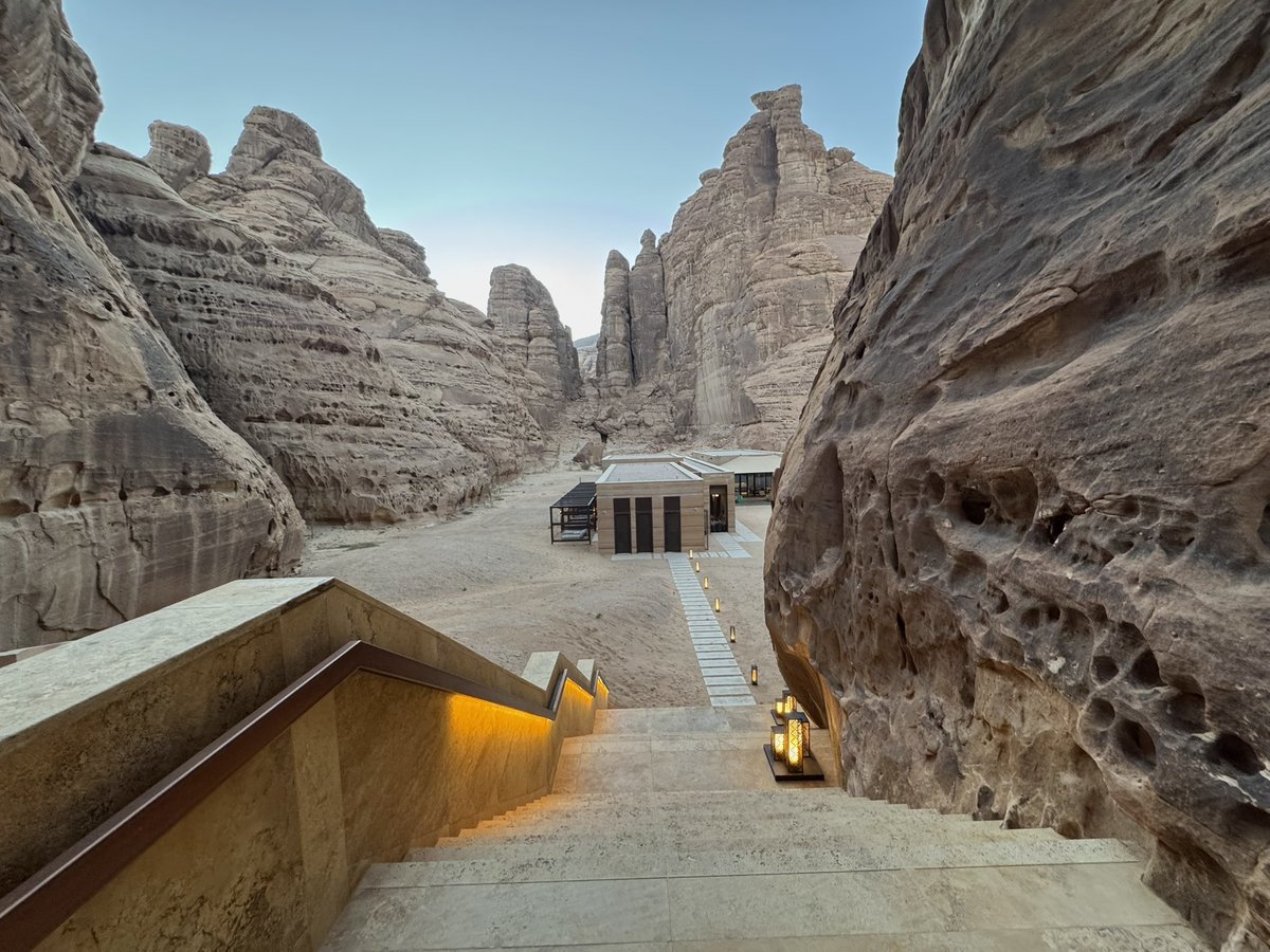 Halleluya Ekandjo tweet media