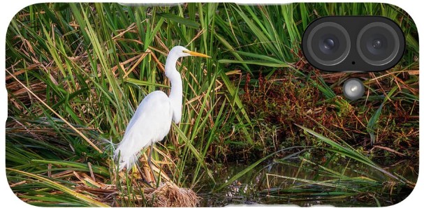 JohnKirkland333's tweet image. White Egret in Marsh Grasses at Phinizy Swamp Nature Park Augusta Georgia

johnkirkland.pixels.com/featured/white…

#PhoneCase #phoneaccessory #egret #marsh #nature #iphone #galaxy #phone #nature #giftideas #birds