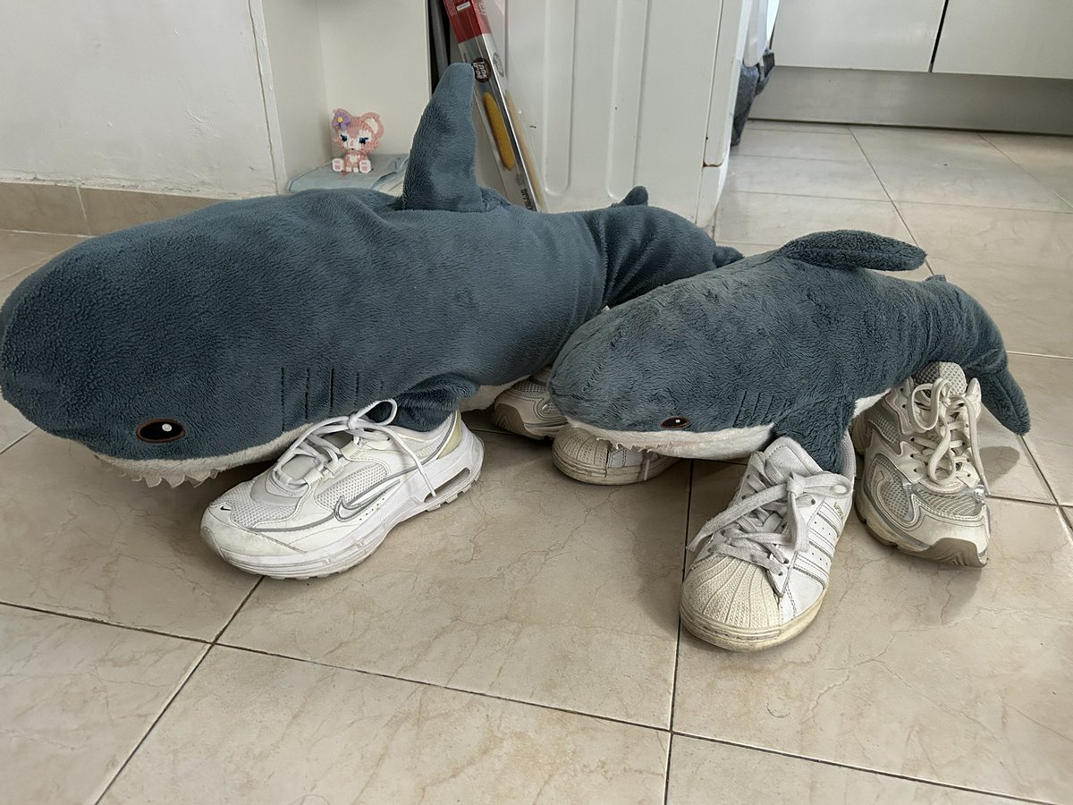 אנקפ ירוק tweet media