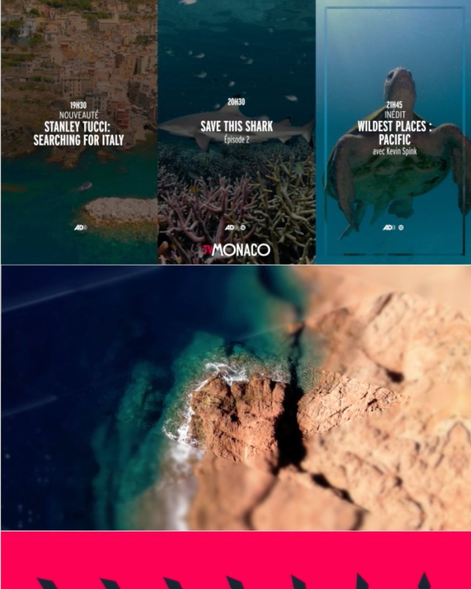 ‘TV Monaco - Global Branding’ by Gedeon won a Communicator Award of Excellence in Branded Entertainment Campaign! 📺✨ A perfect mix of creativity and strategy that takes global branding to new heights.

👀 See more winners: vist.ly/3mzhmry?utm_ca…