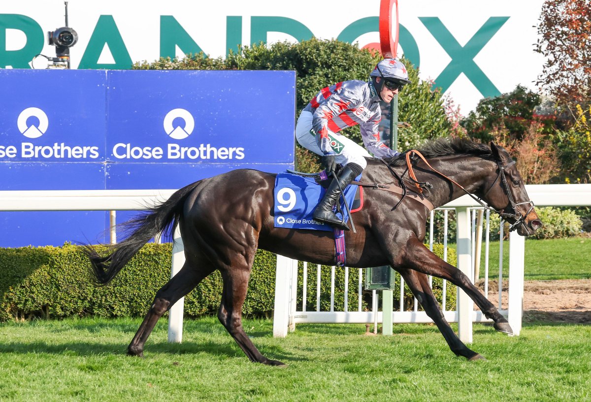 Close Brothers (@closebrothers) on Twitter photo Congratulations once again to Sans Bruit, ridden by <a href="/CobdenHarry/">Harry Cobden</a> and trained by <a href="/PFNicholls/">Paul Nicholls OBE</a>, on winning the Close Brothers Red Rum Handicap Steeple Chase, for a second consecutive year, at <a href="/AintreeRaces/">Aintree Racecourse</a> #GrandNational Festival last week.
<a href="/TheJockeyClub/">The Jockey Club</a> <a href="/itvracing/">ITV Racing</a>
#CloseBrothers Congratulations once again to Sans Bruit, ridden by <a href="/CobdenHarry/">Harry Cobden</a> and trained by <a href="/PFNicholls/">Paul Nicholls OBE</a>, on winning the Close Brothers Red Rum Handicap Steeple Chase, for a second consecutive year, at <a href="/AintreeRaces/">Aintree Racecourse</a> #GrandNational Festival last week.
<a href="/TheJockeyClub/">The Jockey Club</a> <a href="/itvracing/">ITV Racing</a>
#CloseBrothers