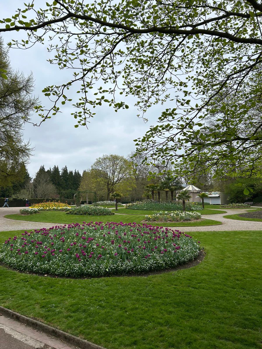 RMSLanguages's tweet image. Our final day involved a passport to the world challenge at the chateau and a town trail through Saint-Omer! 🏰 🇫🇷